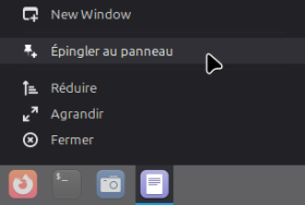 épingler_par_icône